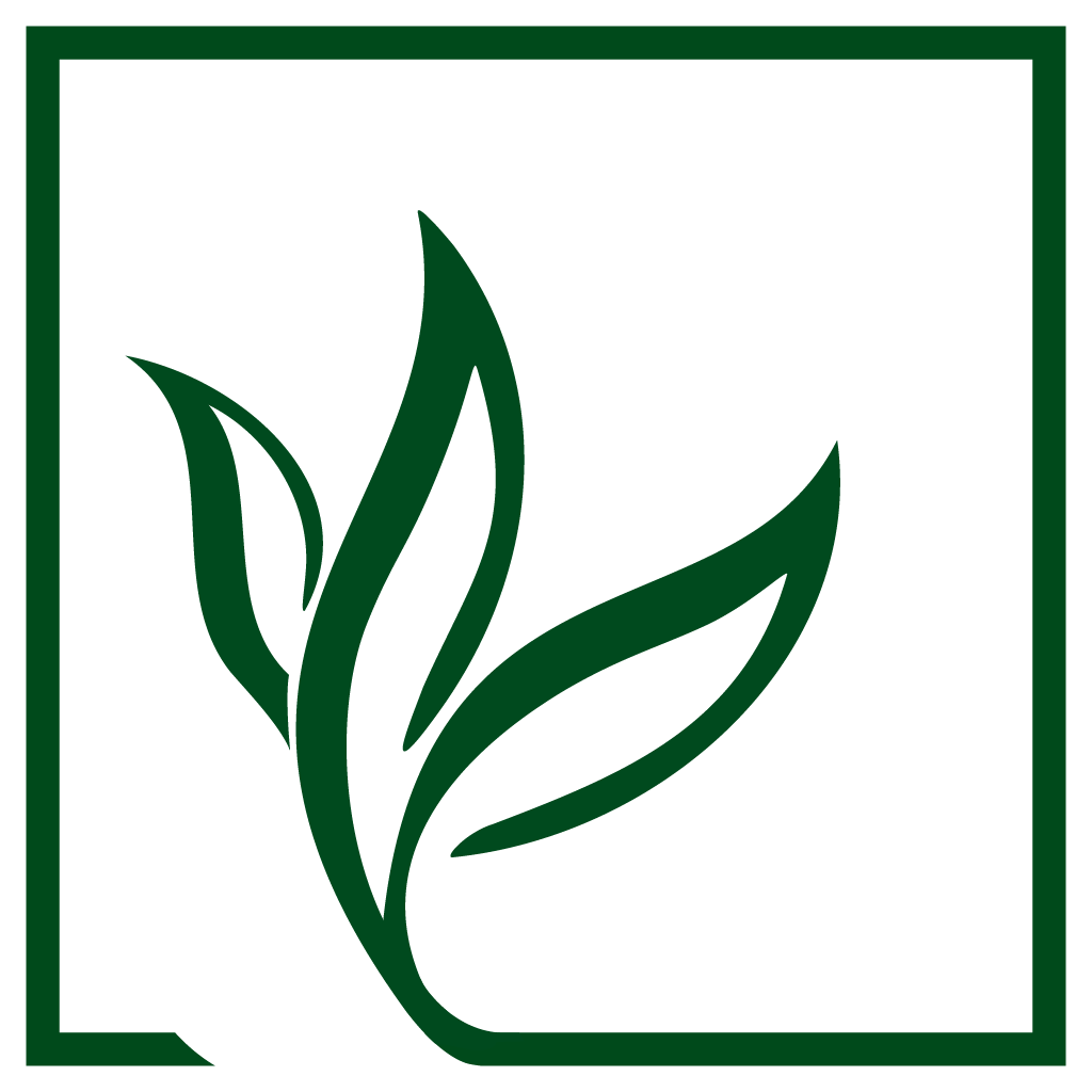 Noora Trading Logo